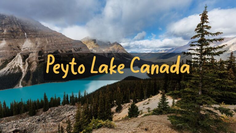 Amazing Lake in Canada Peyto Lake 4k - the best Travel Guide. Peyto Lake, Canada Peyto Lake, Canada, what to do in Peyto Lake?, how to spend time in Peyto Lake?, 10 most beautiful places to visit in Canada, best places to visit in Peyto Lake, amazing places to visit in Peyto Lake, why is Peyto Lake so famous?, is Peyto Lake very expensive?, how many days do you need in Peyto Lake?, why is Peyto Lake the most liveable city?, why you must visit Peyto Lake?, where is Canada located in ?, Is Peyto Lake worth visiting?, Can I do Peyto Lake in 2 days?, What is the best month to visit Peyto Lake?, is Peyto Lake worth visiting?, top 10 places in Canada, things to do in Peyto Lake, top 10 places to visit, top 15 places, Best places to visit, Peyto Lake travel guide, Peyto Lake, Canada most livable city, how is Peyto Lake's Weather in Somer?, what language is spoken in Peyto Lake?, the best Peyto Lake song, book flights to Peyto Lake, book Peyto Lake Hotels, Peyto Lake travel video, why Peyto Lake tourism?, the best Peyto Lake vlog, What is Peyto Lake's History?, What does Peyto Lake look like at Christmas?, See Peyto Lake 4k by drone, how is Peyto Lake's Weather in winter?, Peyto Lake 4k, Travel Guide, Canada, Christmas, top 10 places, tourism,