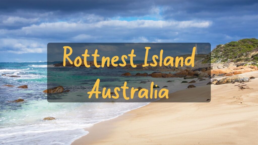 Top Islands to visit in Australia 4k - the best Travel Guide. Rottnest island, day trips perth, rottnest travel vlog, guide to rottnest island, day trips perth, best beaches on rottnest island, what to do on rottnest island, day trip to rottnest island, guide to rottnest island, most beautiful beaches in the world, rottnest island guide, How to spend a day on Rottnest Island, Things to do on Rottnest Island, Western Australia, rottnest island discovery, discovery rottnest tents, where is Rottnest Located?, how to reach Rottnest island?, Are Rottnest islands part of Australia?, what is the best island to visit?, which island to visit in Australia?, what is the top island to visit?, what is the most beautiful island in the world, top 10 islands to visit, Red Sand Beach, Things To Do in Rottnest Island top 10 places in Australia, things to do in Australia, top 10 places to visit, top 15 places, Best places to visit, Australia travel guide, Australia most livable city, Australia 4k, Travel Guide, Australia, Christmas, top 10 places, tourism, Australia, Rottnest Island, Australia travel, Rottnest Island quokkas, best beaches in Australia, Rottnest Island snorkeling, Western Australia, Rottnest Island diving, Rottnest Island ferry, Australia tourism, Rottnest Island cycling, things to do in Australia, Rottnest Island accommodation, Rottnest Island history, Australia wildlife, Rottnest Island lighthouse, Rottnest Island museum, Rottnest Island boat tours, visit Rottnest Island, Australia adventure, Rottnest Island bays, Rottnest Island tours, Australia holiday, Rottnest Island coral reefs, Australia beaches, Rottnest Island restaurants, Australia nature, Rottnest Island eco-tourism, Australia cities, Rottnest Island day trip, Australia national parks, Rottnest Island kayaking, Australia outdoors, Rottnest Island paddleboarding, Australia landmarks, Rottnest Island fishing, Australia culture, Rottnest Island quokka selfie, Australia destinations, Rottnest Island sunset, Australia Outback, Rottnest Island wildlife, Australia sightseeing, Rottnest Island marine life, Australia travel guide, Rottnest Island adventure, Australia road trip, Rottnest Island relaxing, Australia experiences, Rottnest Island swimming, Australia scenic spots, Rottnest Island hiking, Australia travel vlog, Rottnest Island beaches, Australia backpacking, Rottnest Island nature, Australia trips, Rottnest Island relaxation, Australia vacation, Rottnest Island best time to visit, Australia journey, Rottnest Island getaways, Australia beauty, Rottnest Island top attractions, Australia exploration, Rottnest Island activities, Australia tours, Rottnest Island holiday, Australia iconic spots, Rottnest Island must-see, Australia guide, Rottnest Island discovery, Australia backpacker, Rottnest Island tours, Australia travel tips, Rottnest Island ferry ride, Australia travel destinations, Rottnest Island travel, Australia top places, Rottnest Island guide, Australia nature adventures, Rottnest Island trip, Australia exploration, Rottnest Island sightseeing, Australia unique places, Rottnest Island itinerary, Australia eco-friendly, Rottnest Island vacation, Australia wonders, Rottnest Island outdoor activities, Australia islands, Rottnest Island nature trails, Australia trip ideas, Rottnest Island best views, Australia wildlife adventures, Rottnest Island beautiful spots. what to do in Australia?, how to spend time in Australia?, 10 most beautiful places to visit in Australia, best places to visit in Australia, amazing places to visit in Australia, why is Australia so famous?, is Australia very expensive?, how many days do you need in Australia?, why is Australia the most livable city?, why you must visit Australia?, where is Australia located in Europe?, Is Australia worth visiting?, Can I do Australia in 2 days?, What is the best month to visit Australia?, is Australia worth visiting?, top 10 places in Australia, things to do in Australia, top 10 places to visit, top 15 places, Best places to visit, Australia travel guide, most livable city, how is Australia's weather in summer?, what language is spoken in Australia?, the best Australia song, book flights to Australia, book Australia hotels, Australia travel video, why Australia tourism?, the best Australia vlog, What is Australia's history?, What does Australia look like at Christmas?, See Australia 4k by drone, how is Australia's weather in winter?, Best places to visit in Australia, Australia travel guide for first-time visitors, Top things to do in Australia, Australia food tour and culinary guide, Australia history and culture documentary, Australia public transportation tips and tricks, Australia best coffee houses and cafes, Australia day trips and excursions, Australia shopping and fashion guide, Australia Christmas markets and holiday traditions, Australia classical music and opera scene, Australia museums and art galleries guide, Australia travel vlog and daily life experiences, Australia architectural landmarks and buildings, Australia festivals and events calendar, Australia budget travel tips and cheap eats, Australia luxury travel and experiences, Australia romantic getaway ideas, Australia park and garden tours, Australia for families and kids activities, Australia historic palaces and castles tour, Australia nightlife and entertainment guide, Australia bike tours and outdoor activities, Australia summer travel tips and itineraries