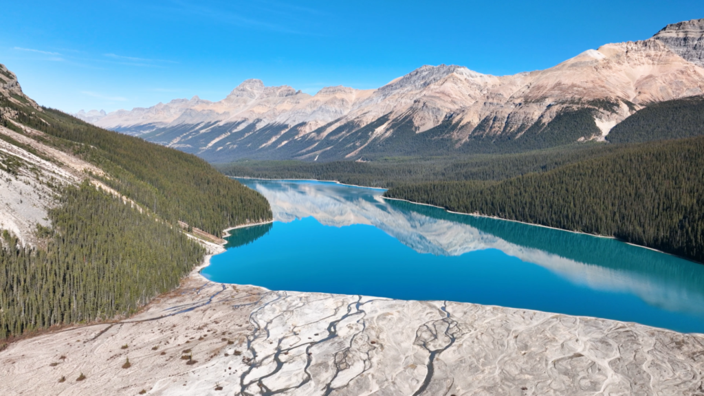 
Amazing Lake in Canada Peyto Lake 4k - the best Travel Guide.
Peyto Lake, Canada
Peyto Lake,
Canada,

what to do in Peyto Lake?,
how to spend time in Peyto Lake?,
10 most beautiful places to visit in Canada,
best places to visit in Peyto Lake,
amazing places to visit in Peyto Lake,
why is Peyto Lake so famous?,
is Peyto Lake very expensive?,
how many days do you need in Peyto Lake?,
why is Peyto Lake the most liveable city?,
why you must visit Peyto Lake?,
where is Canada located in ?,
Is Peyto Lake worth visiting?,
Can I do Peyto Lake in 2 days?,
What is the best month to visit Peyto Lake?,
is Peyto Lake worth visiting?,


top 10 places in Canada,
things to do in Peyto Lake,
top 10 places to visit,
top 15 places,
Best places to visit,
Peyto Lake travel guide,
Peyto Lake, Canada most livable city,


how is Peyto Lake's Weather in Somer?,
what language is spoken in Peyto Lake?,
the best Peyto Lake song,
book flights to Peyto Lake,
book Peyto Lake Hotels,
Peyto Lake travel video,
why Peyto Lake tourism?,
the best Peyto Lake vlog,
What is Peyto Lake's History?,
What does Peyto Lake look like at Christmas?,
See Peyto Lake 4k by drone,
how is Peyto Lake's Weather in winter?,


Peyto Lake 4k,
Travel Guide,
Canada,
Christmas,

top 10 places,
tourism,



