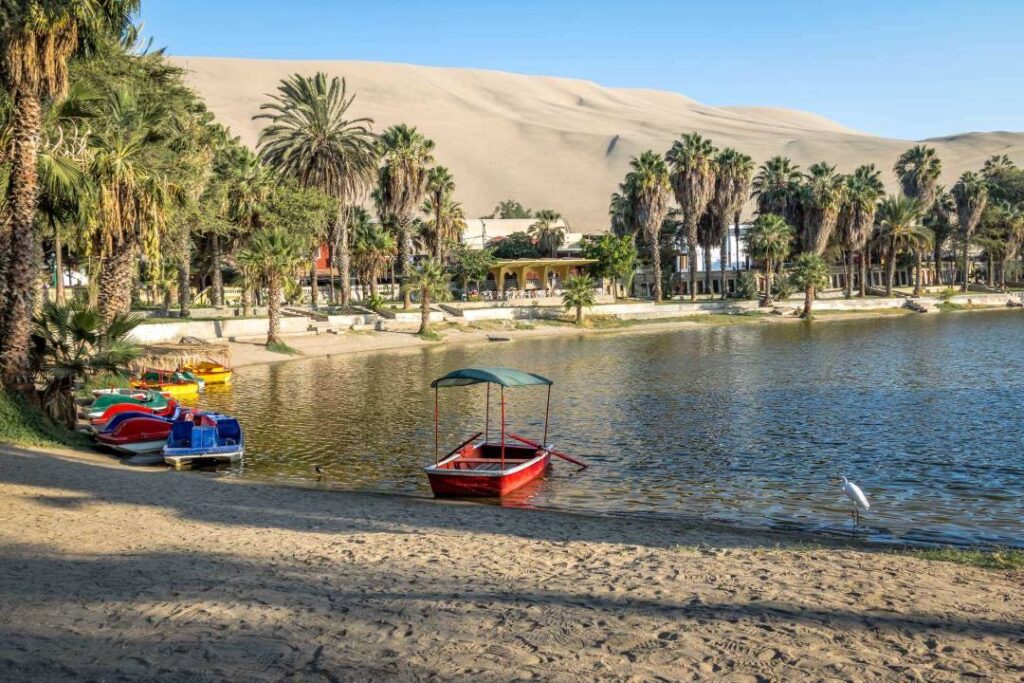 
Best place to visit in Huacachina Preu 4k - the best Travel Guide.

Huacachina,
Preu,

what to do in Huacachina?,
how to spend time in Huacachina?,
10 most beautiful places to visit in Preu,
best places to visit in Huacachina,
amazing places to visit in Huacachina,
why is Huacachina so famous?,
is Huacachina very expensive?,
how many days do you need in Huacachina?,
why is Huacachina the most liveable city?,
why you must visit Huacachina?,
where is Preu located in ?,
Is Huacachina worth visiting?,
Can I do Huacachina in 2 days?,
What is the best month to visit Huacachina?,
is Huacachina worth visiting?,


top 10 places in Preu,
things to do in Huacachina,
top 10 places to visit,
top 15 places,
Best places to visit,
Huacachina travel guide,
Huacachina, Preu most livable city,


how is Huacachina's Weather in Somer?,
what language is spoken in Huacachina?,
the best Huacachina song,
book flights to Huacachina,
book Huacachina Hotels,
Huacachina travel video,
why Huacachina tourism?,
the best Huacachina vlog,
What is Huacachina's History?,
What does Huacachina look like at Christmas?,
See Huacachina 4k by drone,
how is Huacachina's Weather in winter?,


Huacachina 4k,
Travel Guide,
Preu,
Christmas,

top 10 places,
tourism,




