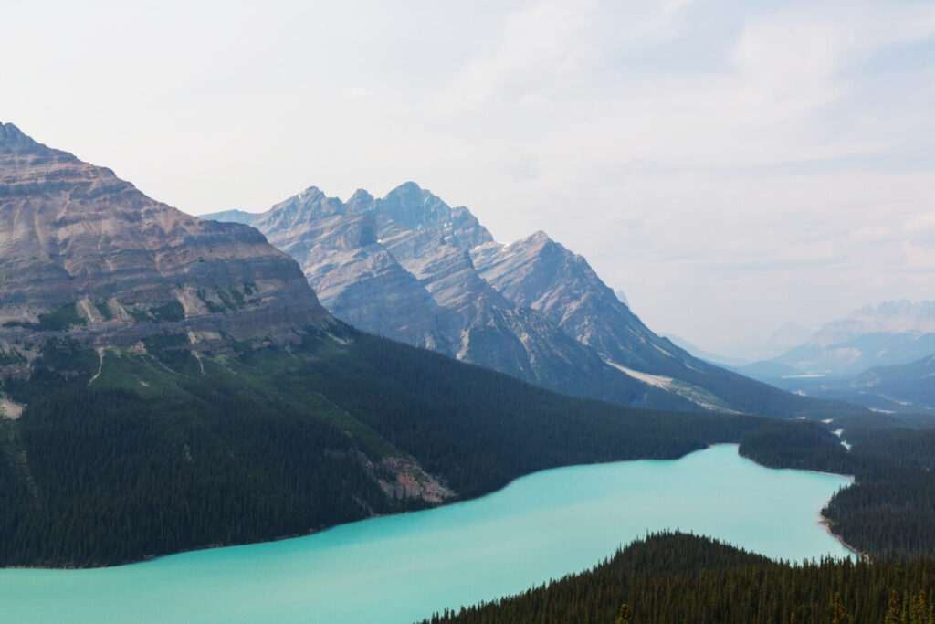 
Amazing Lake in Canada Peyto Lake 4k - the best Travel Guide.
Peyto Lake, Canada
Peyto Lake,
Canada,

what to do in Peyto Lake?,
how to spend time in Peyto Lake?,
10 most beautiful places to visit in Canada,
best places to visit in Peyto Lake,
amazing places to visit in Peyto Lake,
why is Peyto Lake so famous?,
is Peyto Lake very expensive?,
how many days do you need in Peyto Lake?,
why is Peyto Lake the most liveable city?,
why you must visit Peyto Lake?,
where is Canada located in ?,
Is Peyto Lake worth visiting?,
Can I do Peyto Lake in 2 days?,
What is the best month to visit Peyto Lake?,
is Peyto Lake worth visiting?,


top 10 places in Canada,
things to do in Peyto Lake,
top 10 places to visit,
top 15 places,
Best places to visit,
Peyto Lake travel guide,
Peyto Lake, Canada most livable city,


how is Peyto Lake's Weather in Somer?,
what language is spoken in Peyto Lake?,
the best Peyto Lake song,
book flights to Peyto Lake,
book Peyto Lake Hotels,
Peyto Lake travel video,
why Peyto Lake tourism?,
the best Peyto Lake vlog,
What is Peyto Lake's History?,
What does Peyto Lake look like at Christmas?,
See Peyto Lake 4k by drone,
how is Peyto Lake's Weather in winter?,


Peyto Lake 4k,
Travel Guide,
Canada,
Christmas,

top 10 places,
tourism,



