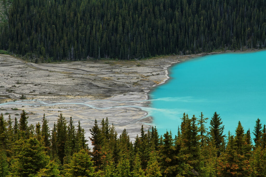 
Amazing Lake in Canada Peyto Lake 4k - the best Travel Guide.
Peyto Lake, Canada
Peyto Lake,
Canada,

what to do in Peyto Lake?,
how to spend time in Peyto Lake?,
10 most beautiful places to visit in Canada,
best places to visit in Peyto Lake,
amazing places to visit in Peyto Lake,
why is Peyto Lake so famous?,
is Peyto Lake very expensive?,
how many days do you need in Peyto Lake?,
why is Peyto Lake the most liveable city?,
why you must visit Peyto Lake?,
where is Canada located in ?,
Is Peyto Lake worth visiting?,
Can I do Peyto Lake in 2 days?,
What is the best month to visit Peyto Lake?,
is Peyto Lake worth visiting?,


top 10 places in Canada,
things to do in Peyto Lake,
top 10 places to visit,
top 15 places,
Best places to visit,
Peyto Lake travel guide,
Peyto Lake, Canada most livable city,


how is Peyto Lake's Weather in Somer?,
what language is spoken in Peyto Lake?,
the best Peyto Lake song,
book flights to Peyto Lake,
book Peyto Lake Hotels,
Peyto Lake travel video,
why Peyto Lake tourism?,
the best Peyto Lake vlog,
What is Peyto Lake's History?,
What does Peyto Lake look like at Christmas?,
See Peyto Lake 4k by drone,
how is Peyto Lake's Weather in winter?,


Peyto Lake 4k,
Travel Guide,
Canada,
Christmas,

top 10 places,
tourism,



